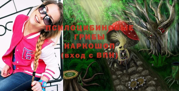 соль ск Абдулино