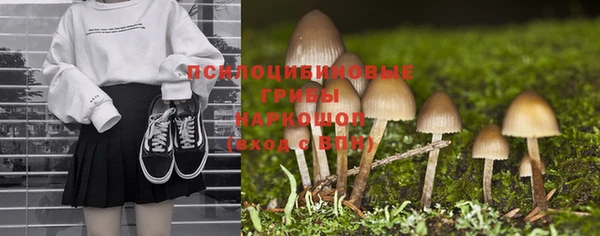 гидра Абинск